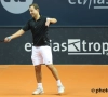 Filip Dewulf ziet kwalijke trend in het tennis ontstaan: "Eens temeer worden de rijke tennislanden hiermee bevoordeeld"