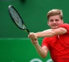 Ontgoochelde Goffin moet afdruipen: "Ik heb hem nog nooit zo zien tennissen"