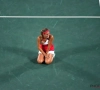 Puerto Ricaanse zet Duitse Kerber opzij en pakt goud in Rio