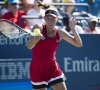 Mertens strijdt vannacht voor een plekje in de WTA-finale in Hobart tegen Kroatische kwalificatiespeelster