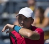 Darcis sneuvelt in halve finale van het challengertoernooi in Canberra