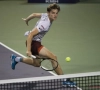 Over en out: David Goffin mag zijn droom van de Masters opbergen tot 2017