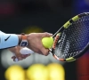 Door onduidelijkheid in de richtlijnen raadt Tennis Vlaanderen af om nu al opnieuw lessen te volgen