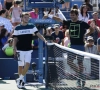 Ongezien: Goffin klimt op ATP-ranking voorbij ... Roger Federer