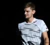 Dewulf ziet Goffin in 2017 nog doorgroeien: "Ben ervan overtuigd dat hij in de top-10 zal belanden"