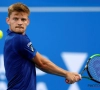 Gunstige loting voor Goffin op Australian Open, Darcis treft een Australiër