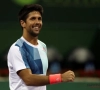 Tennisser die nummer vijf van de wereld klopte dankt knalprestatie aan echtgenote en wel hierom