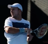 Darcis sneuvelt na twee felbevochten sets in tweede ronde in Memphis 