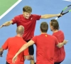 Vijf Belgen voor de Davis Cup zijn bekend, Goffin is speerpunt