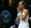 Magdalena Rybarikova stopt na eindronde Fed Cup met tennissen