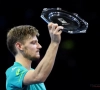 Reikhalzend uitkijken naar 2018: wachten op een topresultaat in een grandslam... 