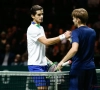? Daarom staan er dus zo veel foto's van David Goffin op de Instagram-account van Franse opponent
