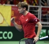 Sterk werk: David Goffin loodst België naar kwartfinales Davis Cup