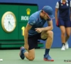 David Goffin boekt verlies, US Open-winnaar Novak Djokovic grote winnaar op ATP-ranking