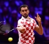 Marin Cilic bezorgt topfavoriet Kroatië het beslissende punt én eindwinst in de Davis Cup 