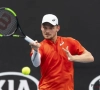 Goffin duidt werkpunt aan na nederlaag in derde ronde