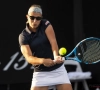 Winnen van eerste set volstaat niet voor Flipkens tegen Zhang