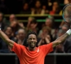 David Goffin hoeft in Marseille boeman van Rotterdam niet te vrezen 