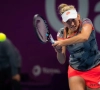 Elise Mertens moet toernooiwinst in Linz aan haar sterke dubbelpartner laten