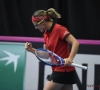 Flipkens overleeft matchbal en gaat door in het dubbelspel, Van Uytvanck ligt er ook in het dubbel meteen uit