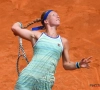 Bertens favoriete in finale Palermo tegen Teichmann