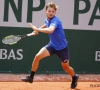 Goffin mist na finale tegen Murray virtuele titel op een haar na, Bertens bezorgt Lage Landen wel succes bij de dames