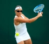 Bouchard schakelt Flipkens uit in Auckland