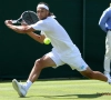 Afwezigheid Goffin breekt België zuur op tegen Hongarije