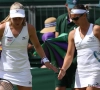 Ferme tegenvaller: grote ambities van Flipkens in dubbelspel mogen al de kast in