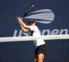 Miami Open: geen makkelijke opgave voor Ashleigh Barty, Naomi Osaka krijgt haalbare kaart 