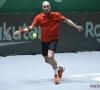 België in de penarie op ATP Cup na nederlaag van Steve Darcis
