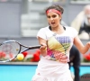 Naast Kim Clijsters plant nog een speelster als moeder haar comeback