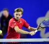 Goffin blijft in top 10 op nieuwe ATP-ranking