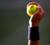 Orgaan tegen matchfixing velt zwaar verdict: tennisser net als zijn broer levenslang geschorst