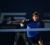 Belgen op US Open: David Goffin en Kirsten Flipkens geplaatst voor tweede ronde, Alison Van Uytvanck uitgeschakeld 