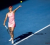 Elise Mertens en Greet Minnen halen de dubbelfinale in Washington niet