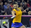 Simona Halep staat er meteen in eerste match sinds aanstelling van Van Cleemput
