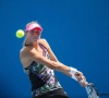 Wickmayer zet scheve situatie vlot recht op Indian Wells Challenger