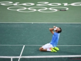 Del Potro blijft de verrassing van het toernooi en gaat voorbij Nadal naar finale