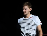 Dewulf ziet Goffin in 2017 nog doorgroeien: "Ben ervan overtuigd dat hij in de top-10 zal belanden"
