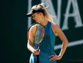 Svitolina verteert switch naar hardcourt goed: voormalige Masters-kampioene wint finale in Berlijn in hangar