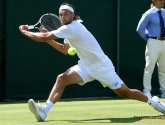 Afwezigheid Goffin breekt België zuur op tegen Hongarije