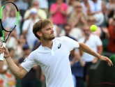 "Mentaal is het heel belangrijk dat Goffin spelers als Djokovic, Nadal en Federer al geklopt heeft"