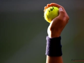 Orgaan tegen matchfixing velt zwaar verdict: tennisser net als zijn broer levenslang geschorst