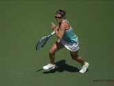 Flipkens heeft niet veel zin om te trainen: "Ik zie het nut er niet van in"