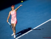 Elise Mertens en Greet Minnen halen de dubbelfinale in Washington niet