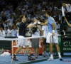 Murray en Del Potro verzorgen het spektakel in match van meer dan 5 (!) uur